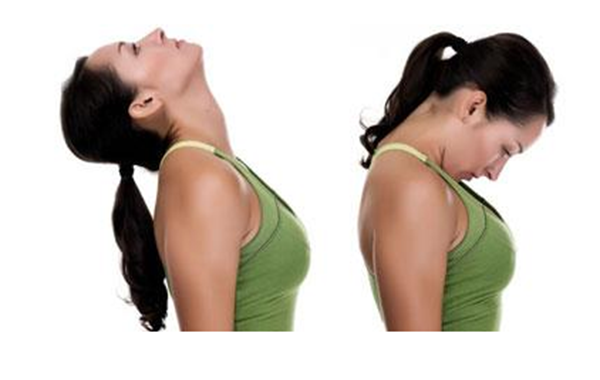 Bài tập cúi và ngửa cổ giúp tăng cường sự linh hoạt của các đốt sống và giảm tình trạng cứng khớp.png